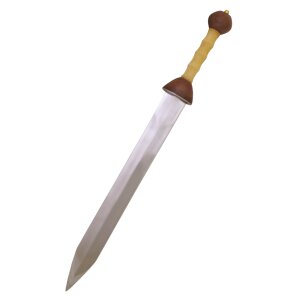 Gladius with scabbard