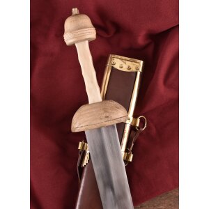 Pompeii gladius with dark scabbard and strap