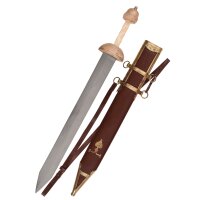 Pompeii gladius with dark scabbard and strap