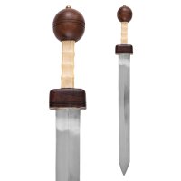 Pompeii gladius with scabbard