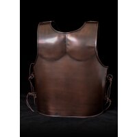 Spartan steel muscle armor with bronze finish