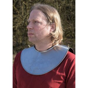 Steel gladiator collar