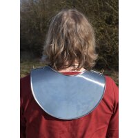 Steel gladiator collar