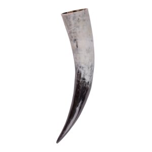 Drinking horn, approx. 3.5 liters