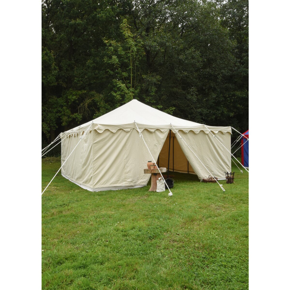 Tenda Herold, 5 x 5 m, 425 g/m², colore naturale