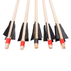 Arrows 500 mm 5pcs set for 95cm bow